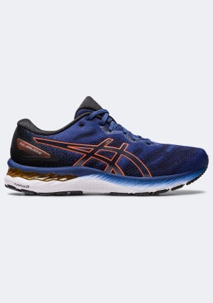 Asics Men’s Gel-Ziruss 6