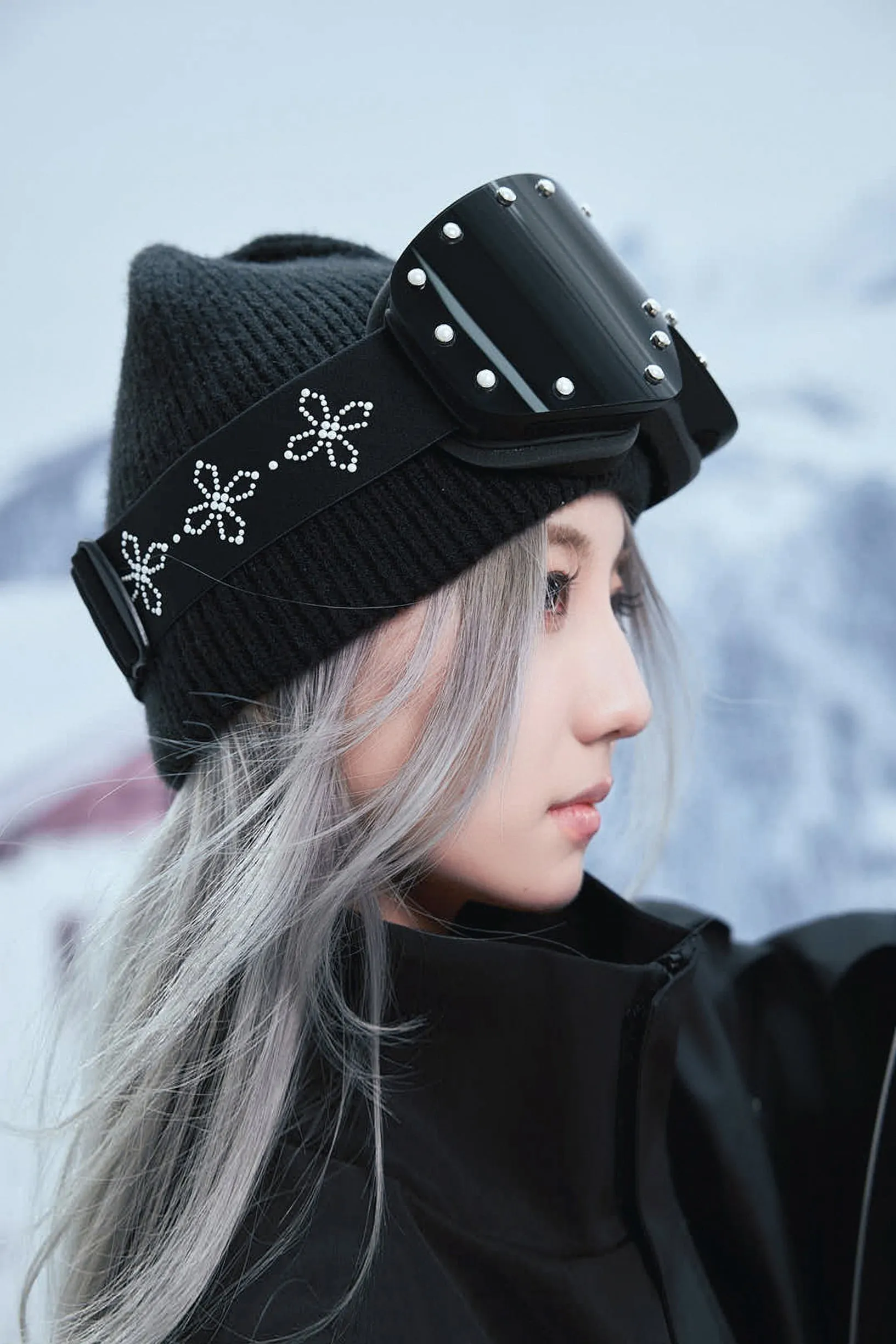 Rivet Zeiss Ski Goggles