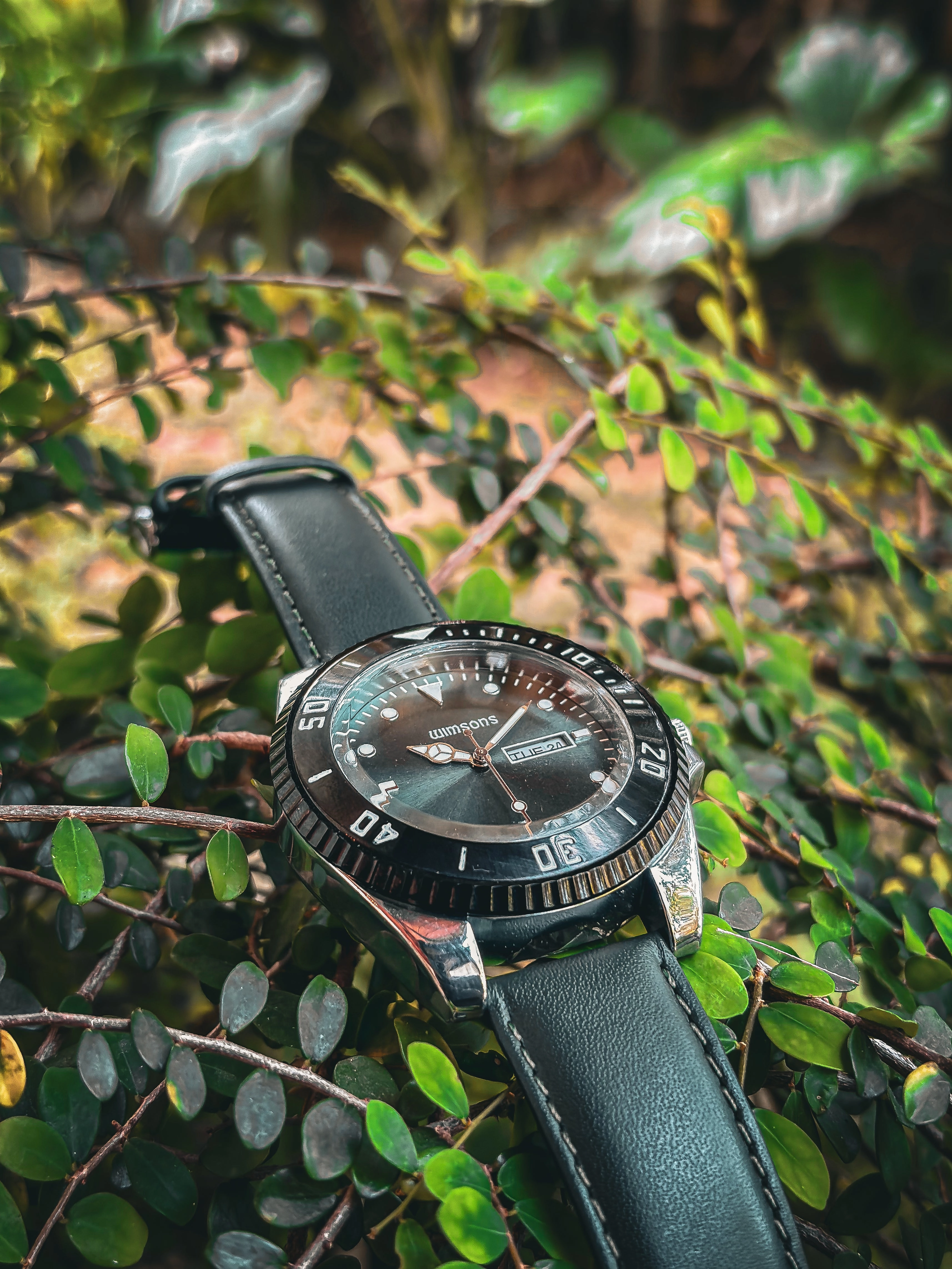 WIMSONS Ever Green WSC103LGG