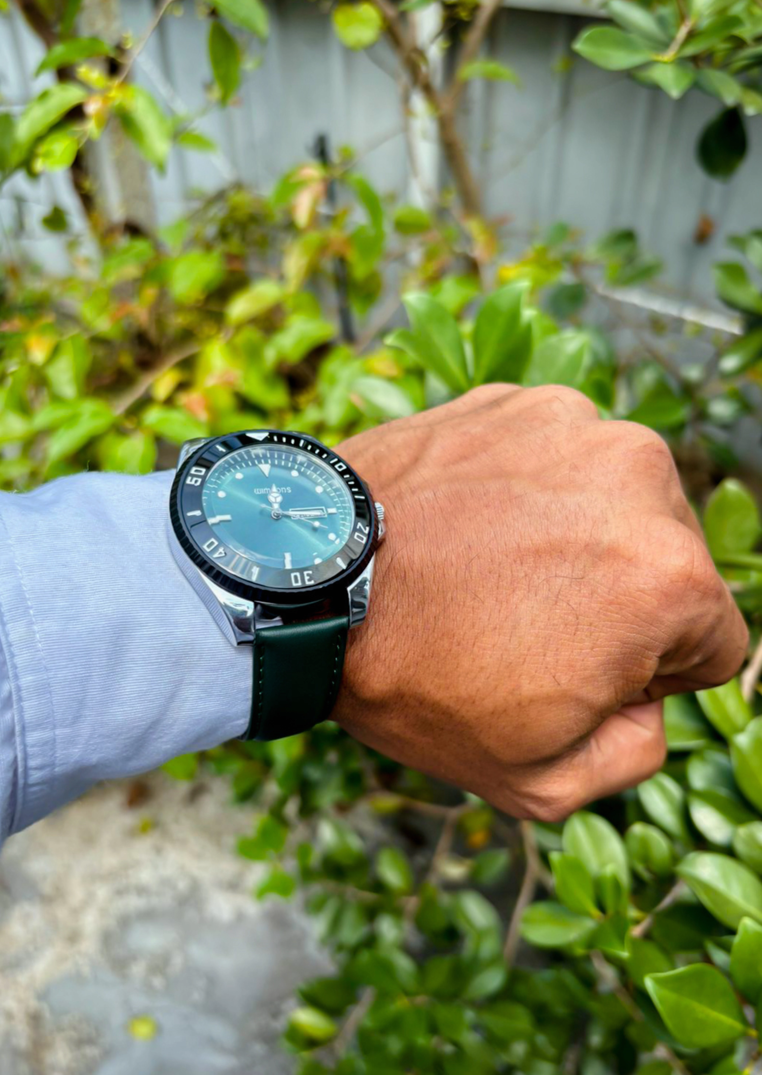 WIMSONS Ever Green WSC103LGG